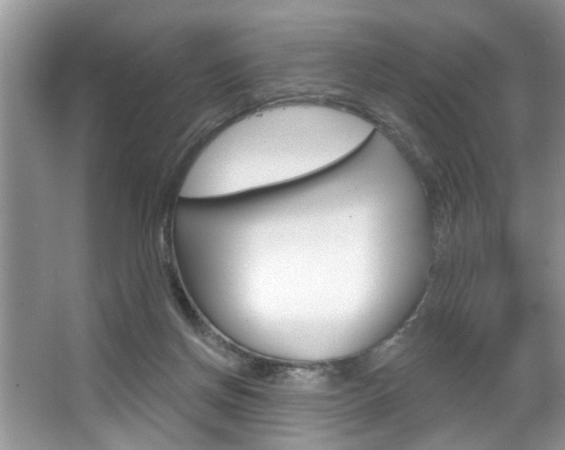 X0000067840166200604130953