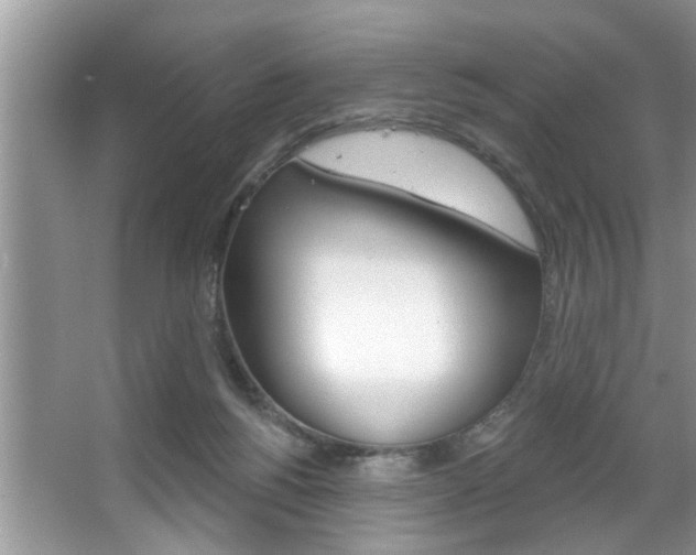 X0000067840168200604130953