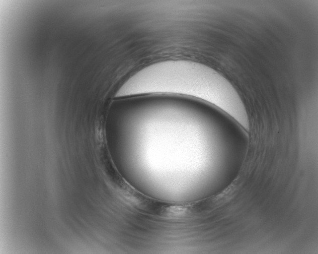X0000067840176200604130954