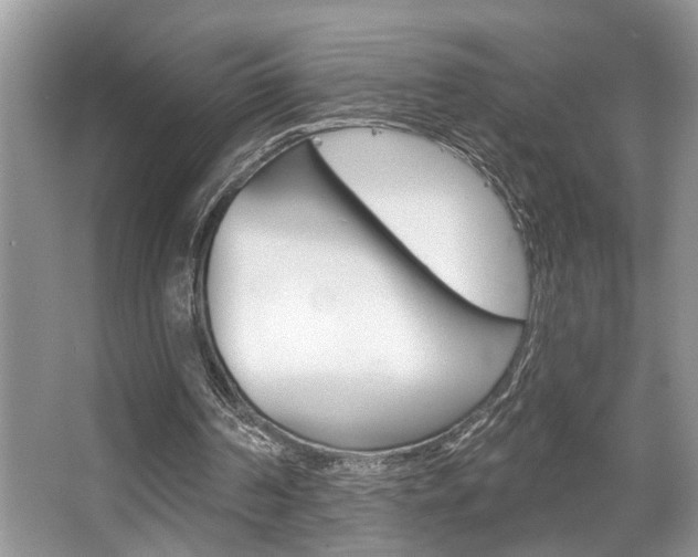 X0000067840194200604130953