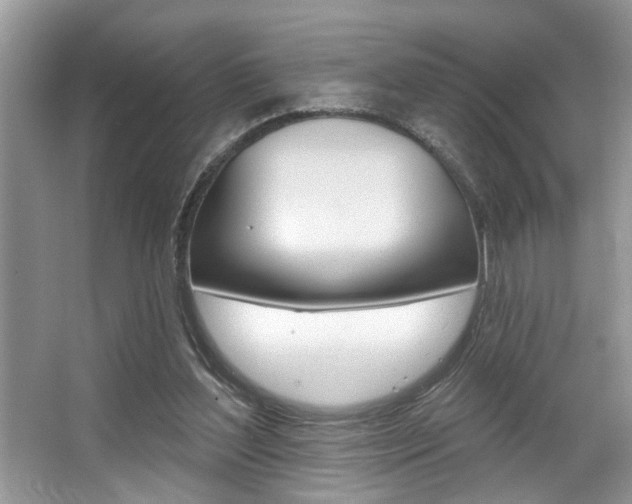 X0000067840204200604130953
