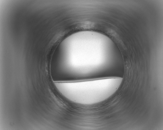 X0000067840212200604130953