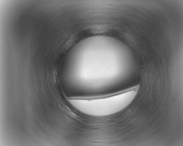 X0000067840227200604130952
