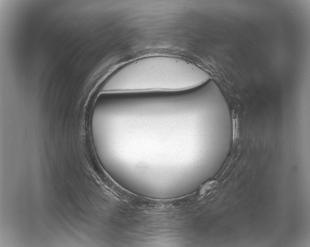 X0000067840243200604130951
