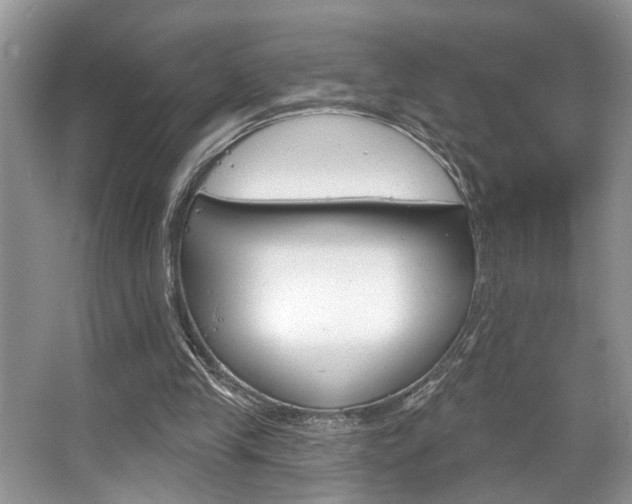 X0000067840245200604130952