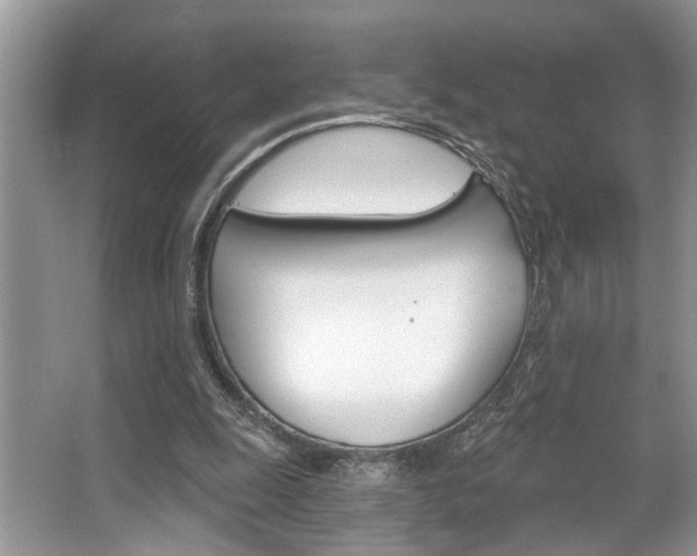 X0000067840247200604130952