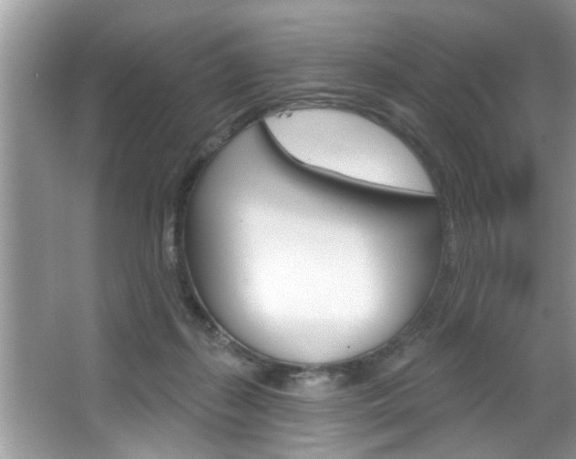 X0000067840267200604130952