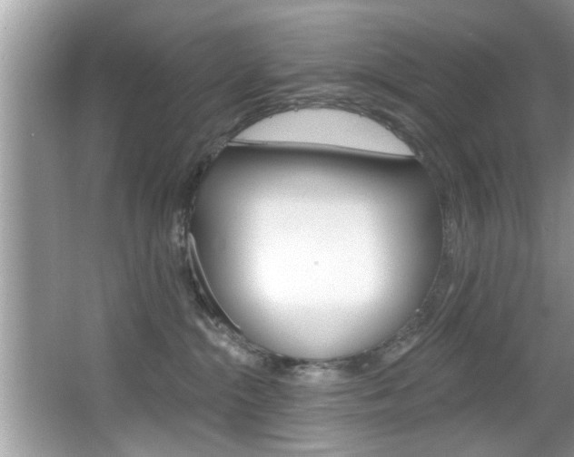 X0000067840284200604130952