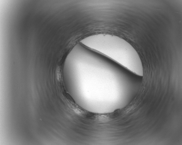 X0000067840287200604130952