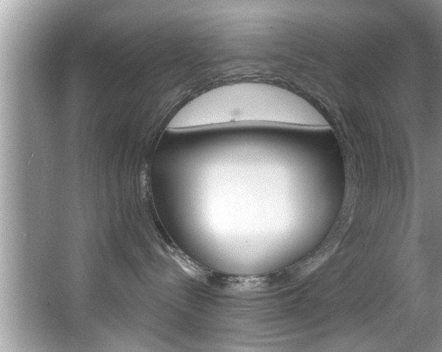 X0000067840288200604130952
