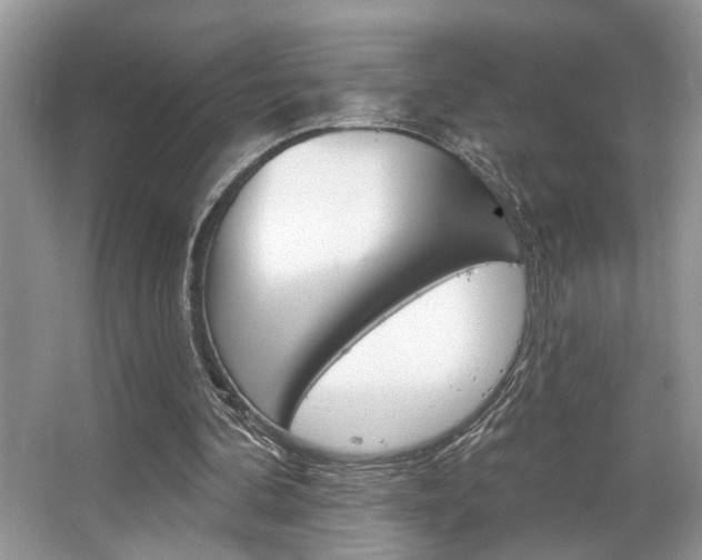 X0000067840292200604130951
