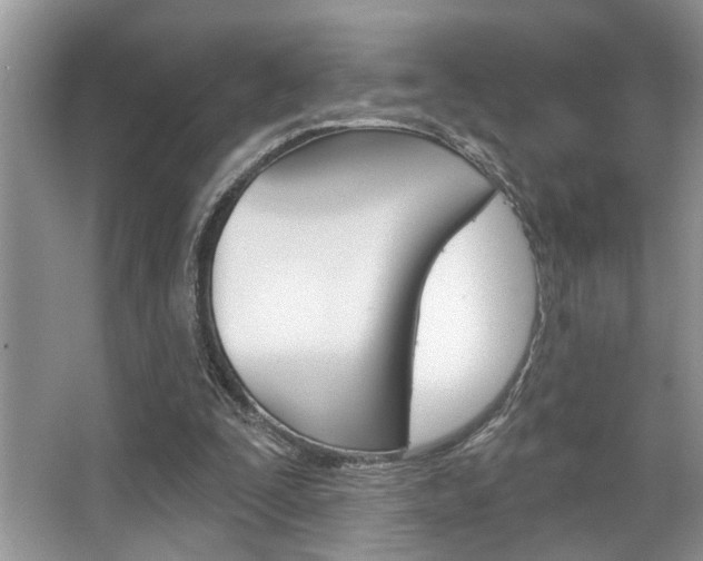 X0000067840295200604130951