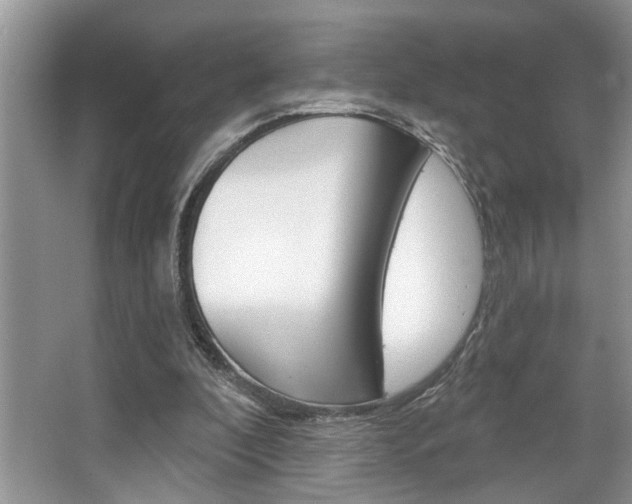 X0000067840296200604130951