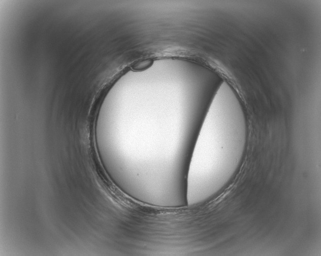 X0000067840298200604130951