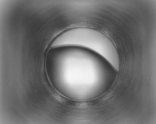 X0000067840301200604130951