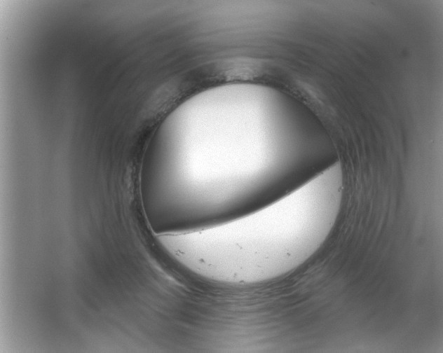 X0000067840311200604130951