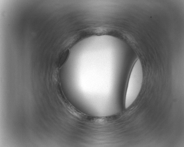 X0000067840325200604130951