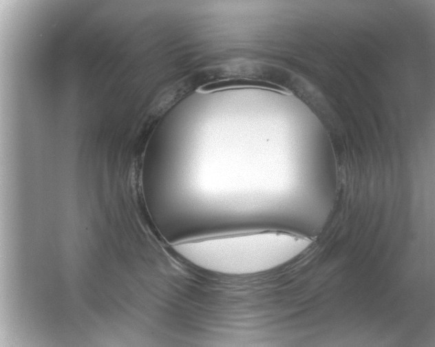 X0000067840333200604130951