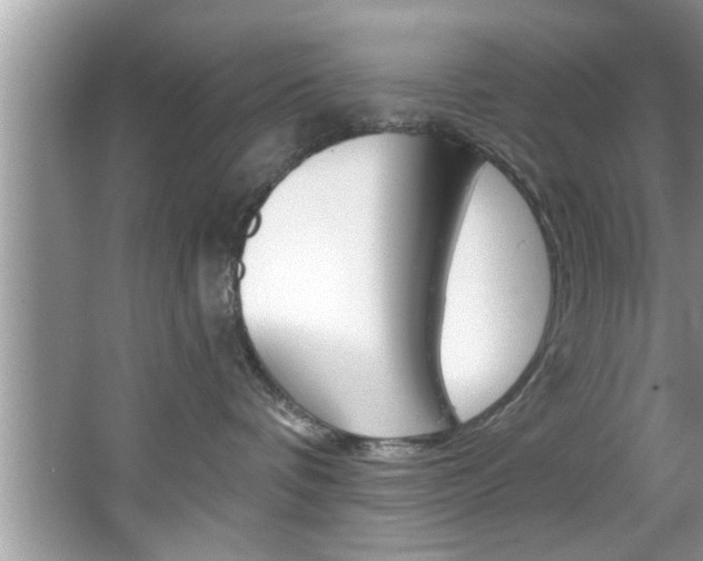 X0000067840336200604130951