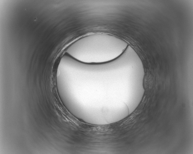X0000067840338200604130950