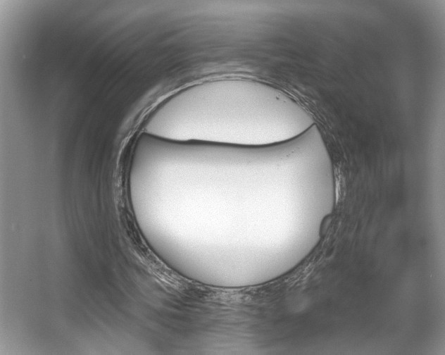 X0000067840339200604130950