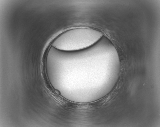 X0000067840342200604130950