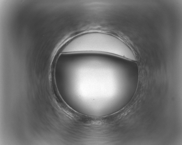 X0000067840344200604130950