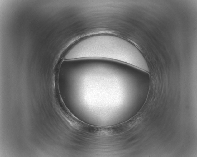 X0000067840350200604130950