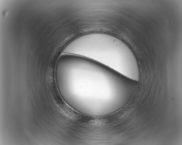 X0000067840356200604130950
