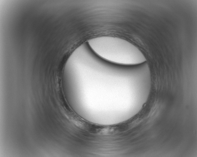 X0000067840366200604130950