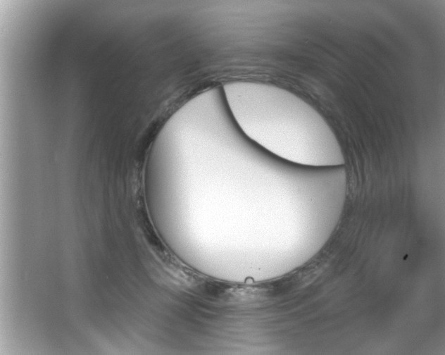 X0000067840367200604130950