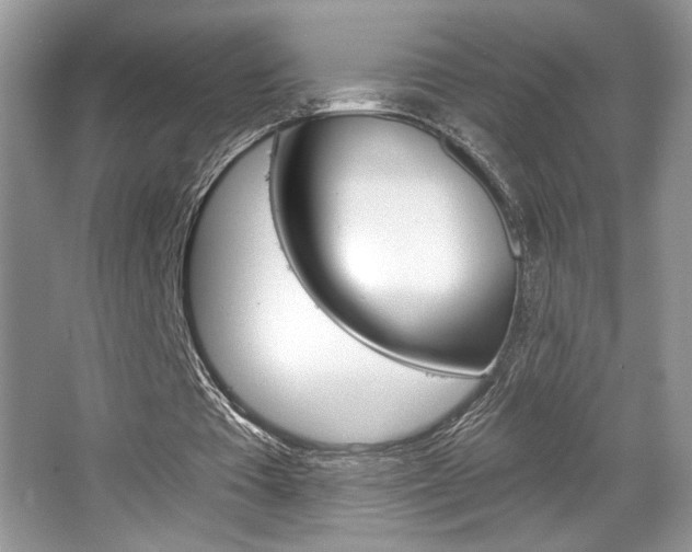 X0000067840385200604130950