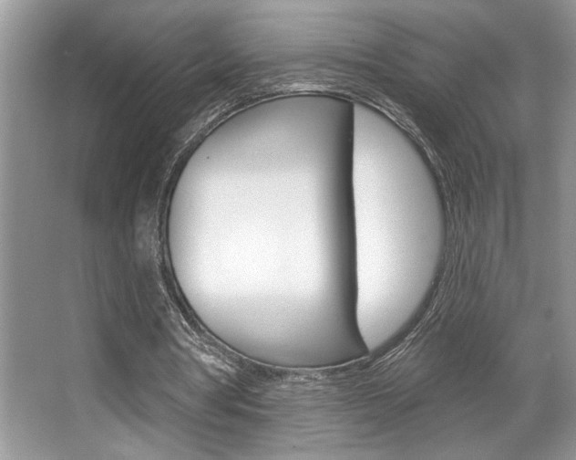 X0000067840386200604130950