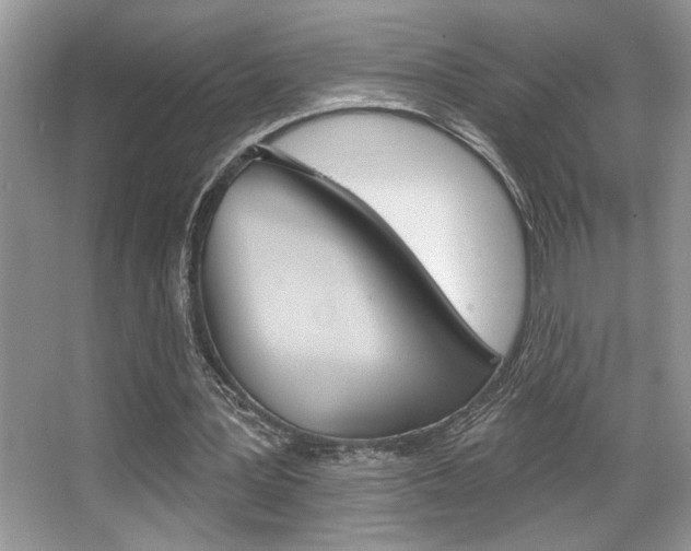 X0000067840387200604130950