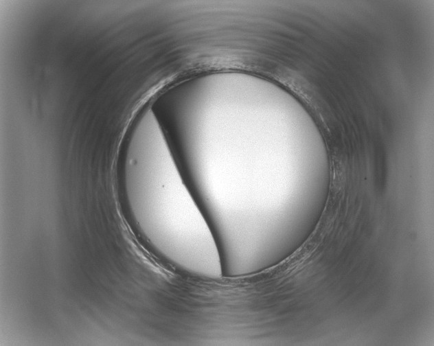 X0000067840390200604130950