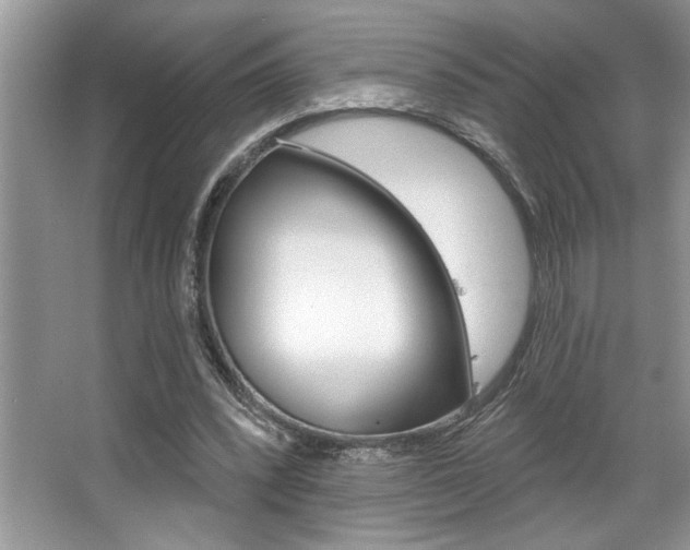 X0000067840392200604130950