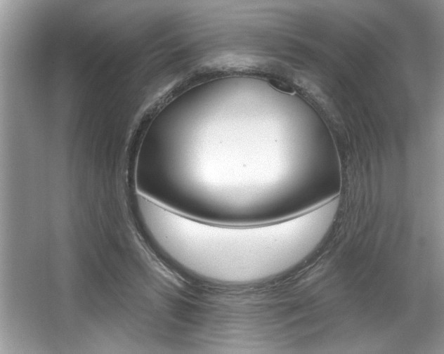 X0000067840399200604130950