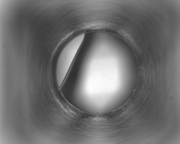 X0000067840400200604130950