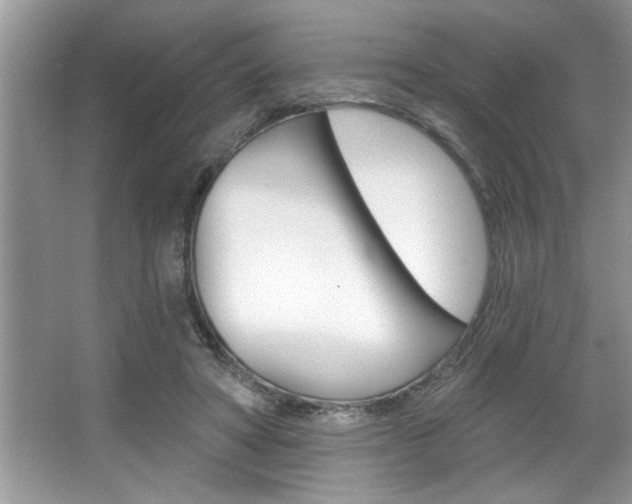 X0000067840402200604130950