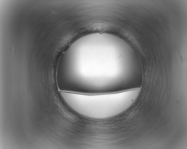 X0000067840403200604130950