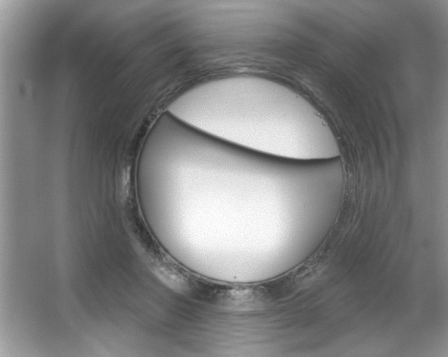 X0000067840406200604130949