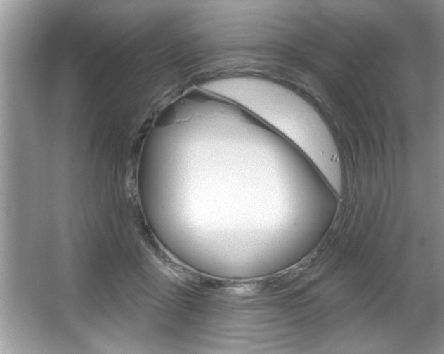 X0000067840411200604130949