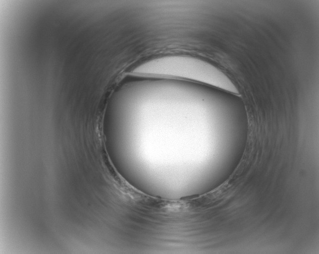 X0000067840415200604130949
