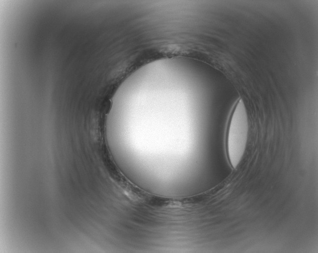 X0000067840416200604130949