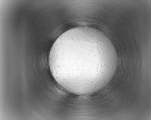 X0000067840418200604130949