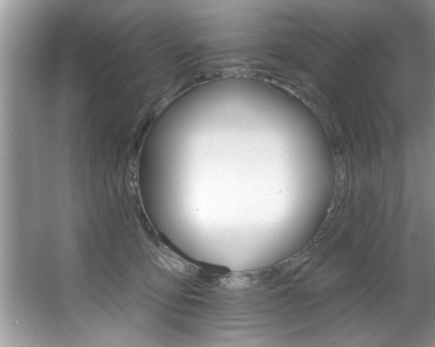 X0000067840419200604130949