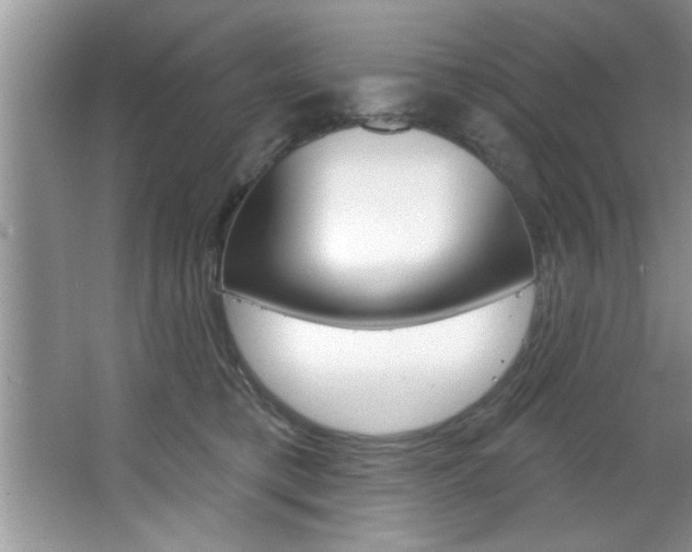 X0000067840421200604130949