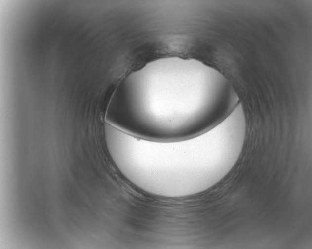 X0000067840425200604130949