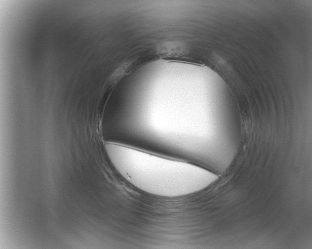 X0000067840429200604130949