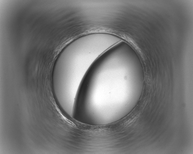 X0000067840433200604130948